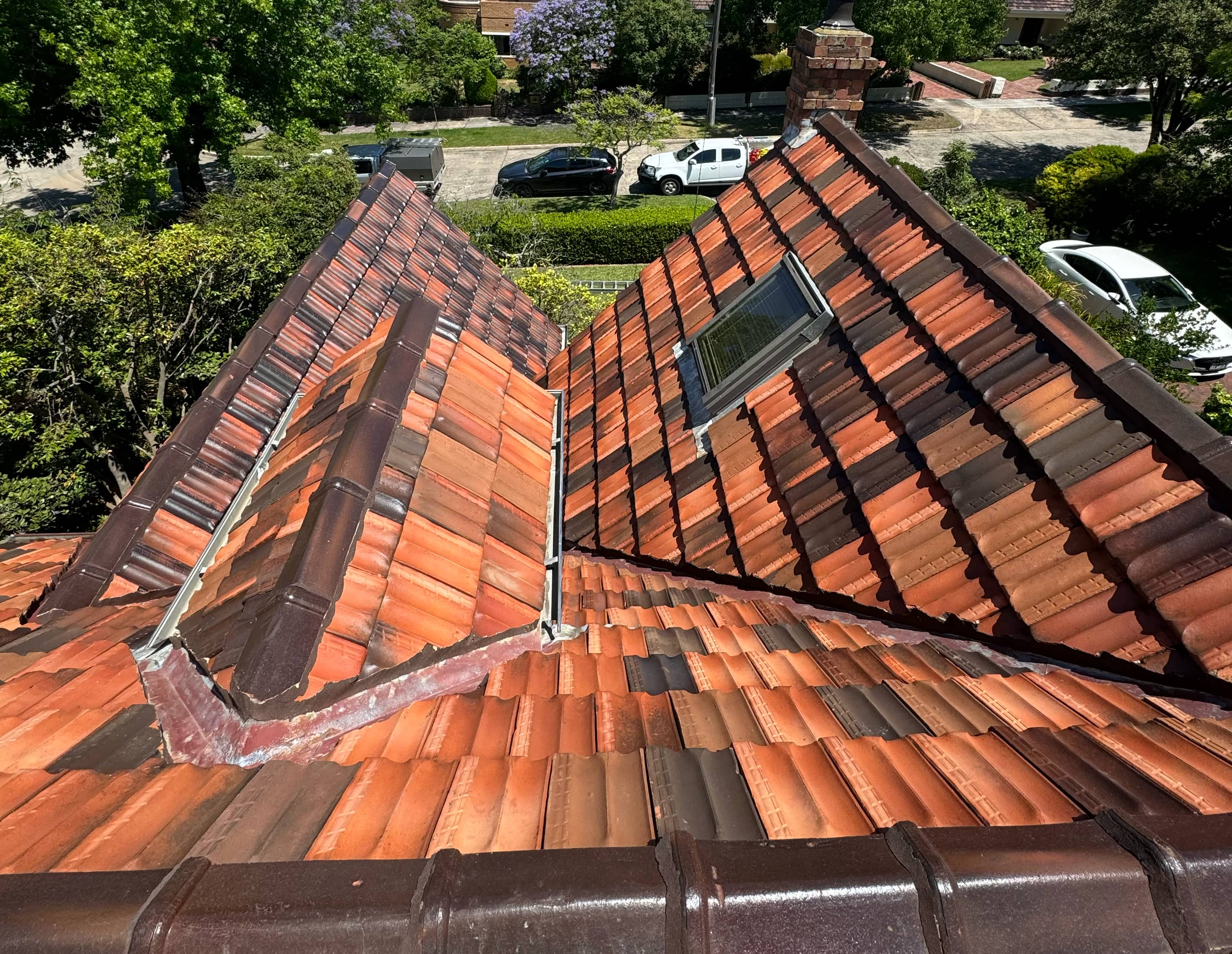 Professional roof cleaning