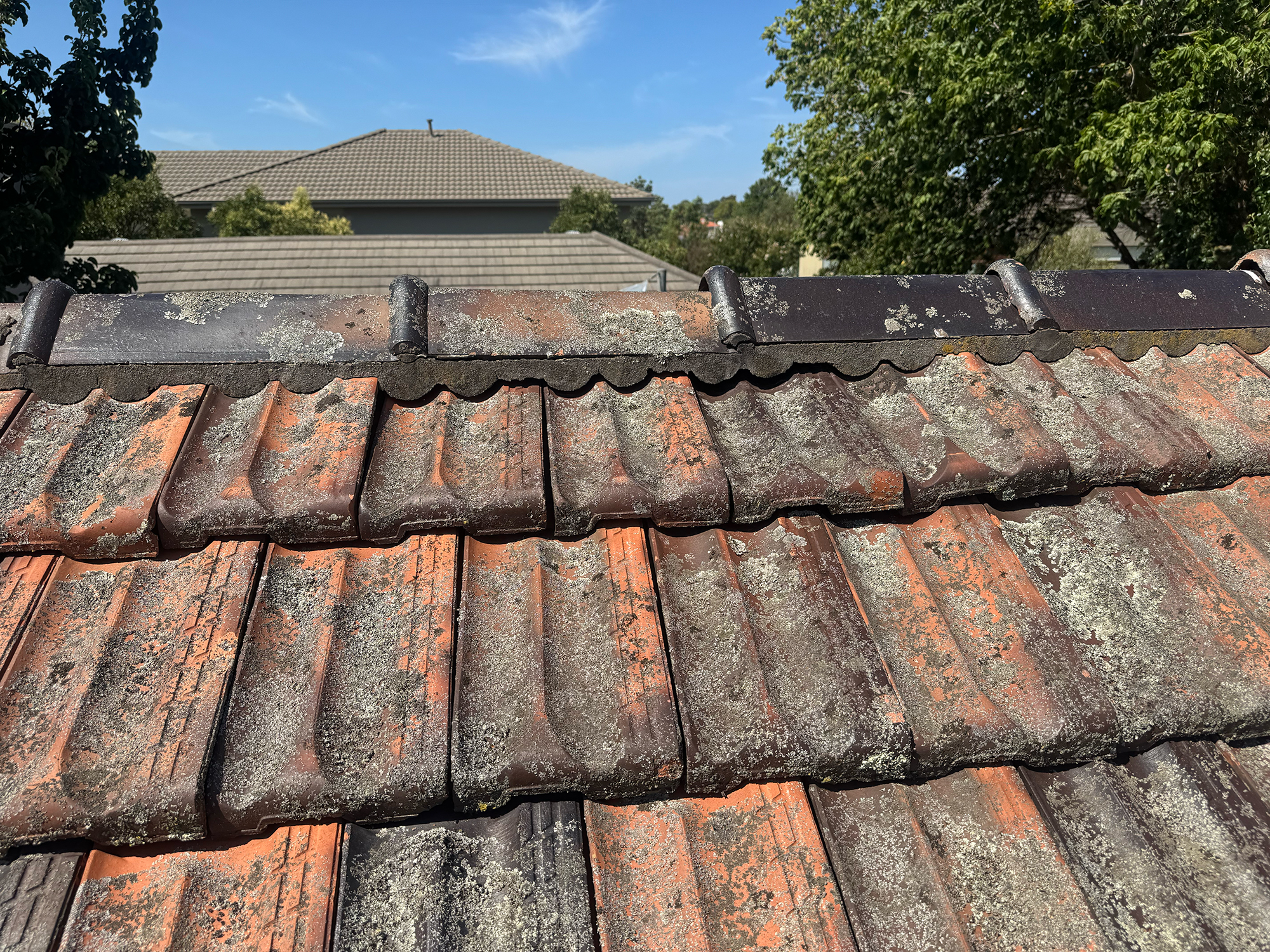 Signs Your Terracotta Roof Needs Repointing