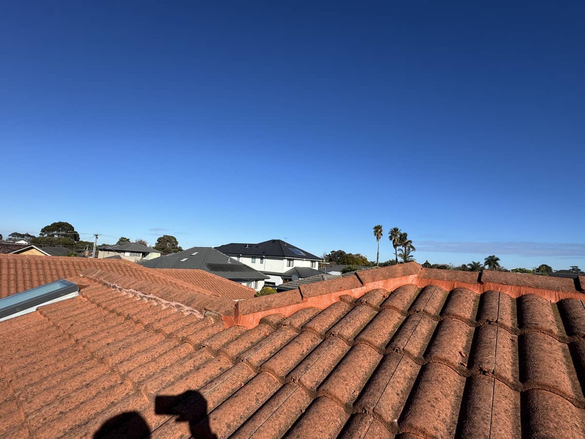 concrete tile ridge repointing melbourne suburb