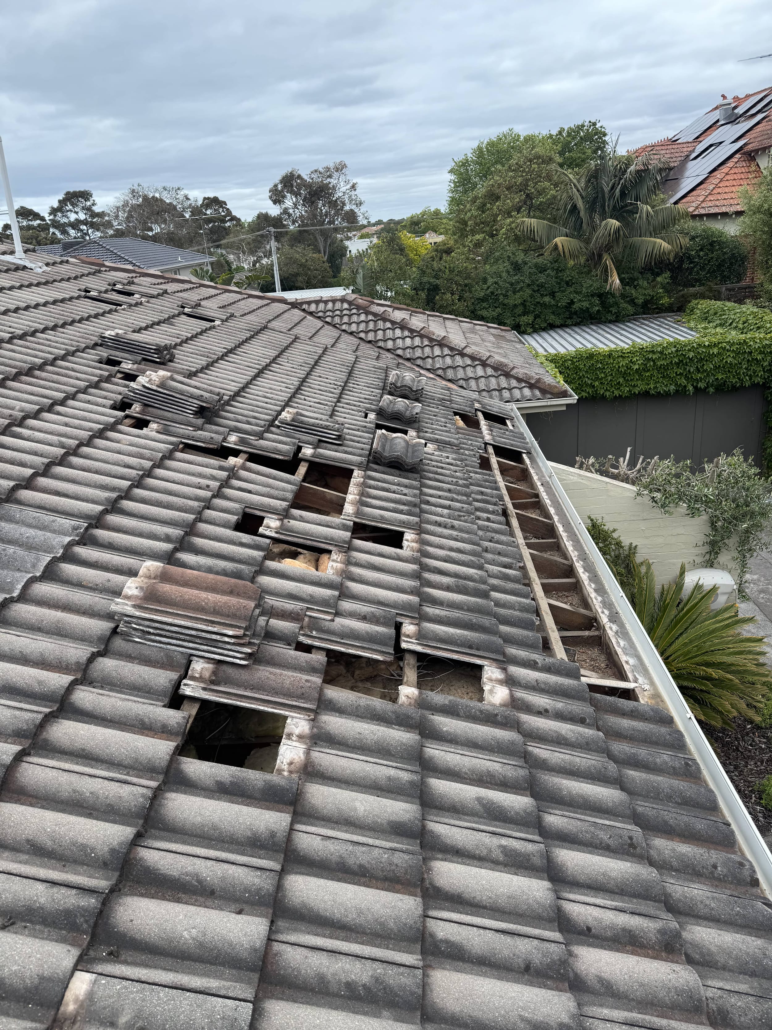 professional concrete tile roof repair bayside