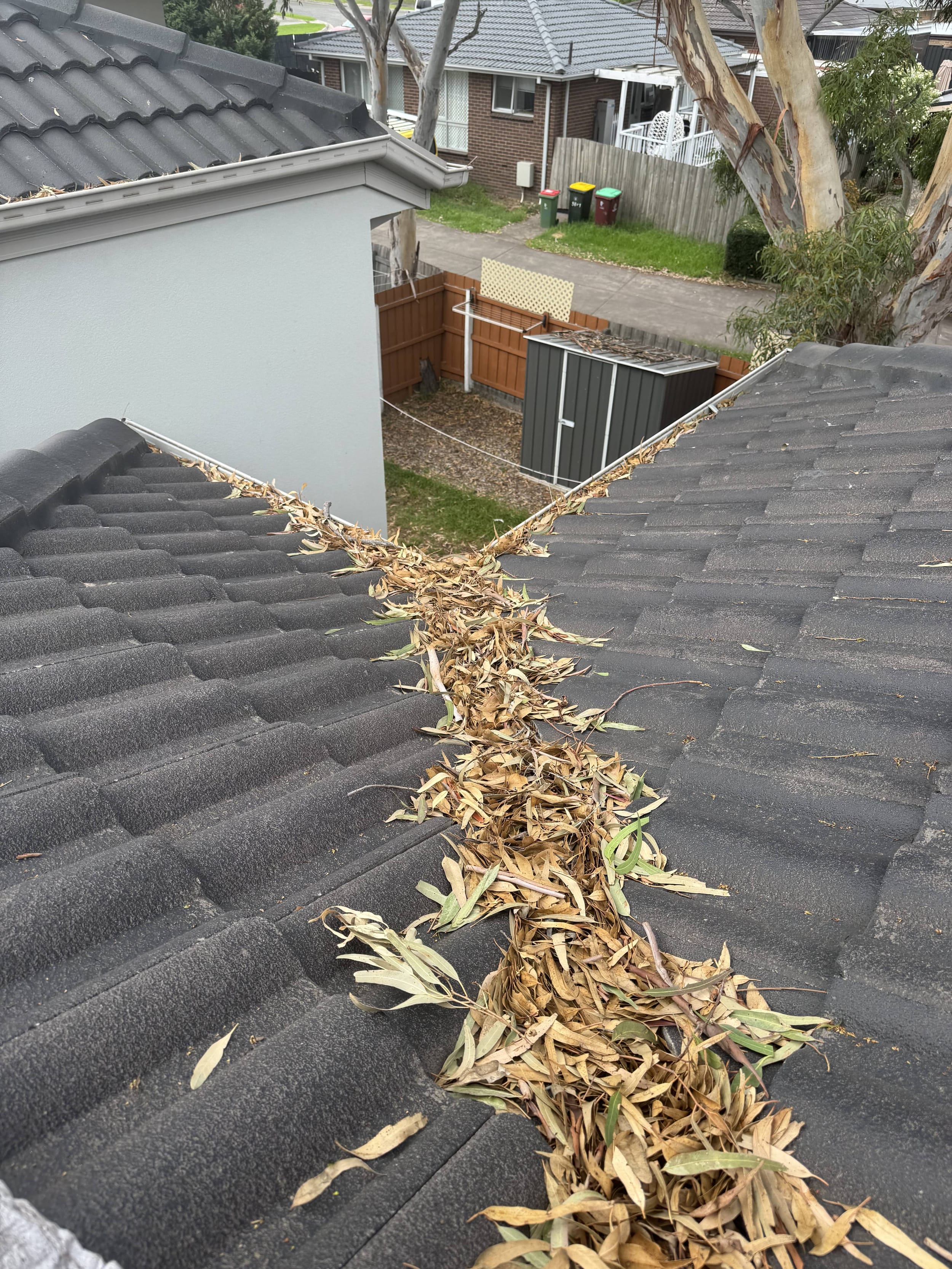 trust bayside roof cleaning concrete tile roof repairs