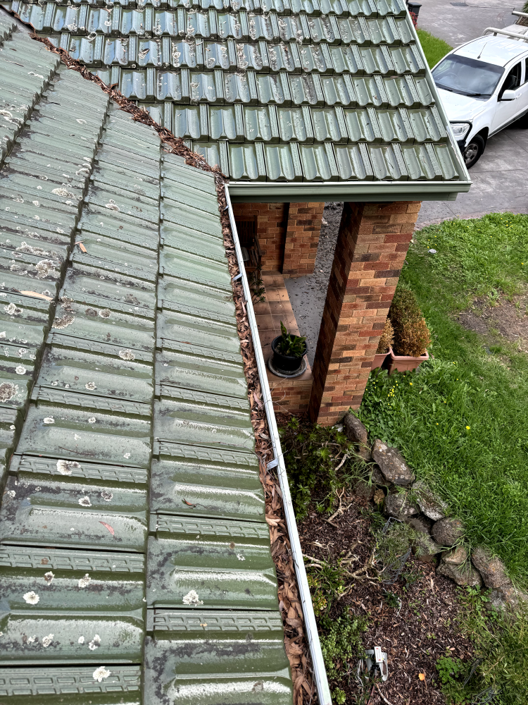 messy gutter blocking residential drainage melbourne bayside area