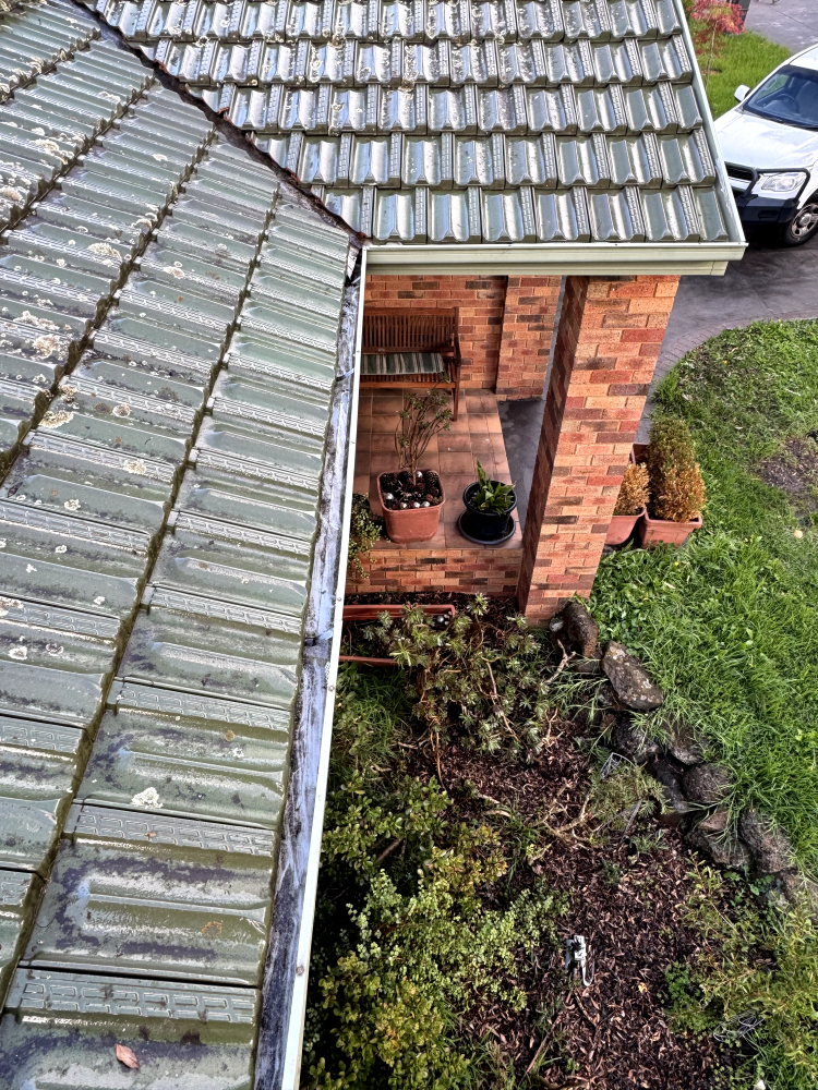 cleaned blockage for residential gutter in melbourne coastal region