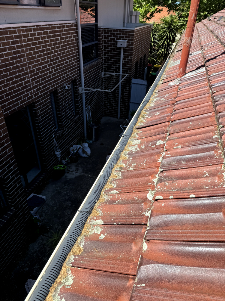 Cleaned gutter in Melbourne Bayside area