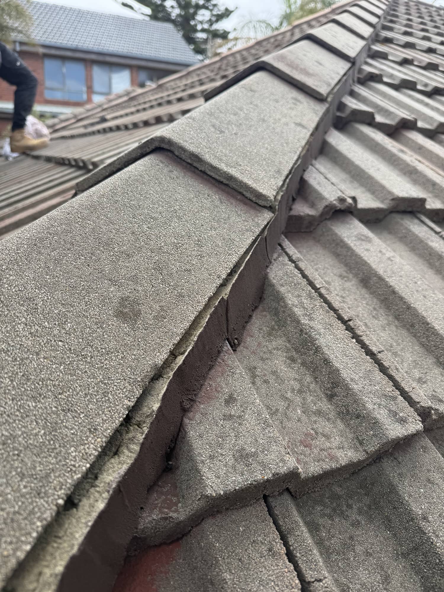 concrete tile roof moisture assessment