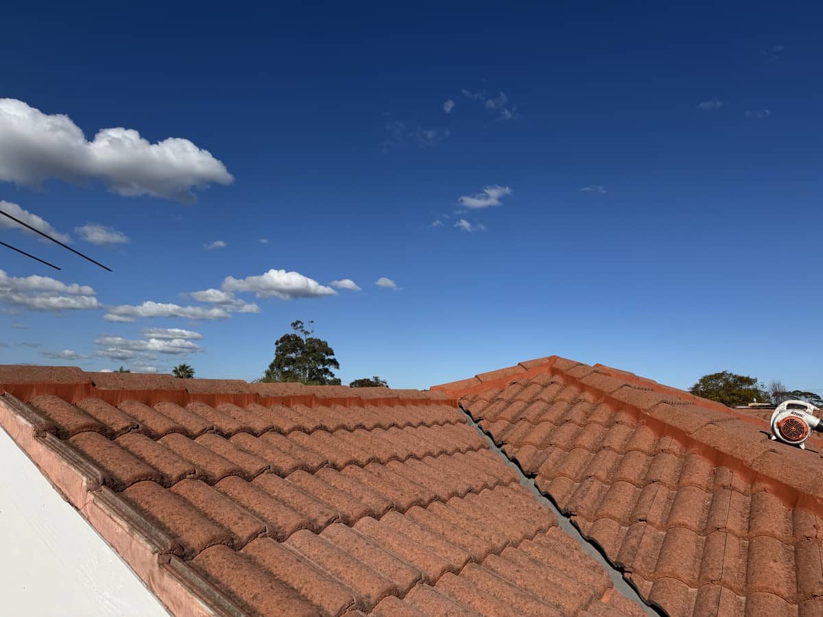 bayside roof cleaning ridge tile repointing