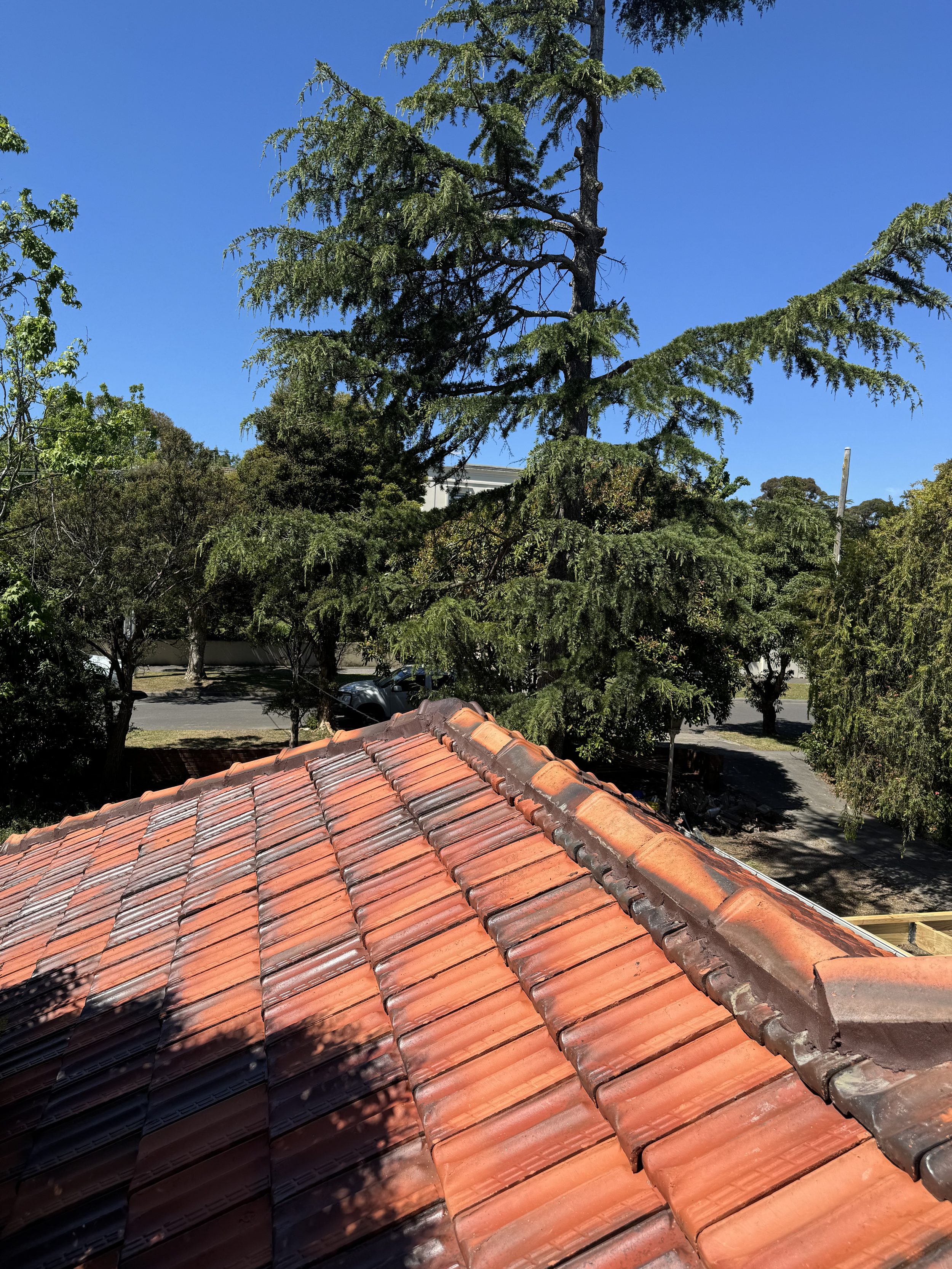 diy ridge tile repointing vs professional melbourne