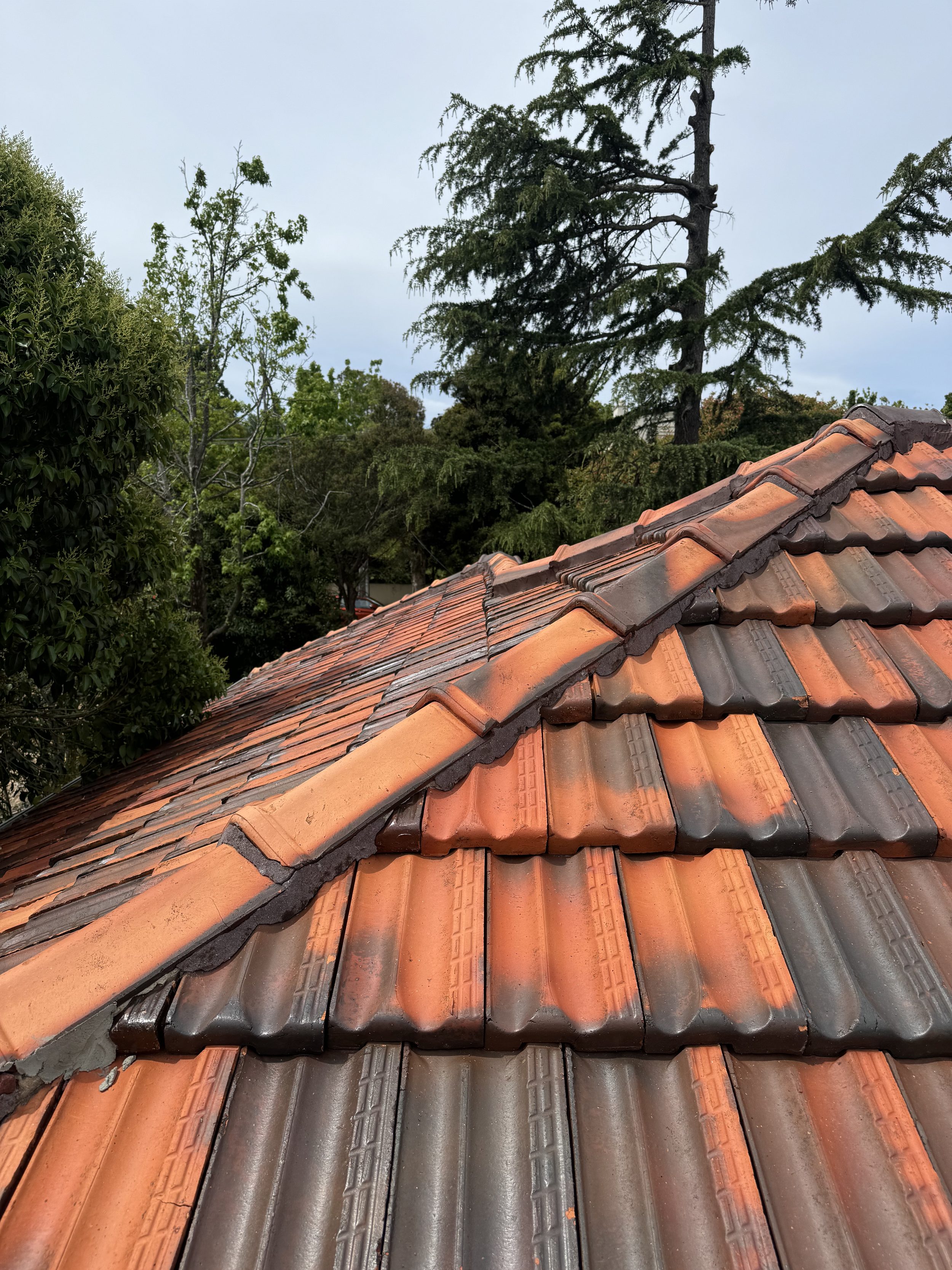 terracotta ridge tile repointing melbourne