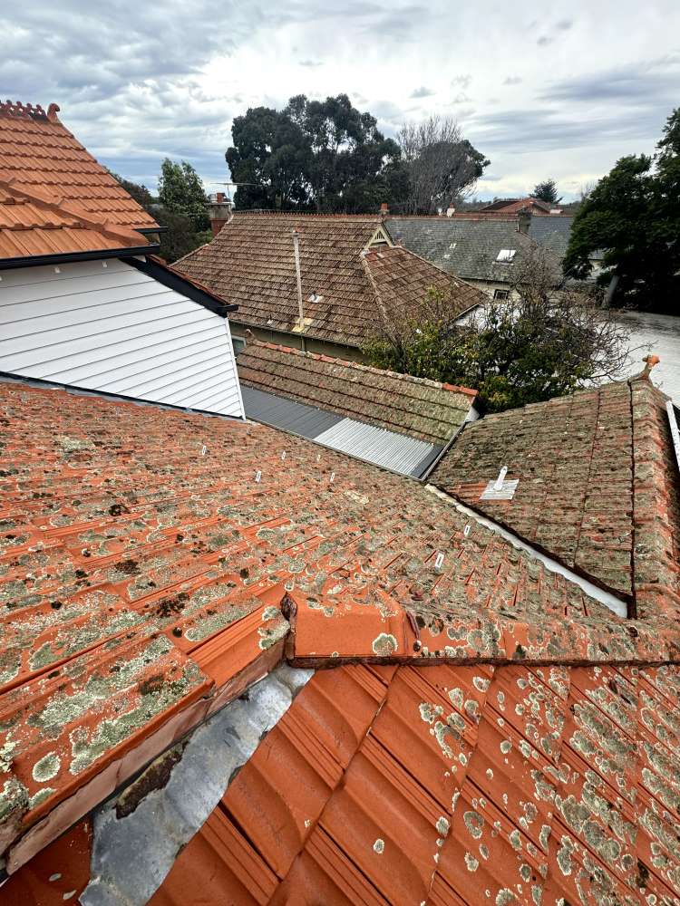 Melbourne roof cleaning experts working on a local bayside property with terracotta tiles