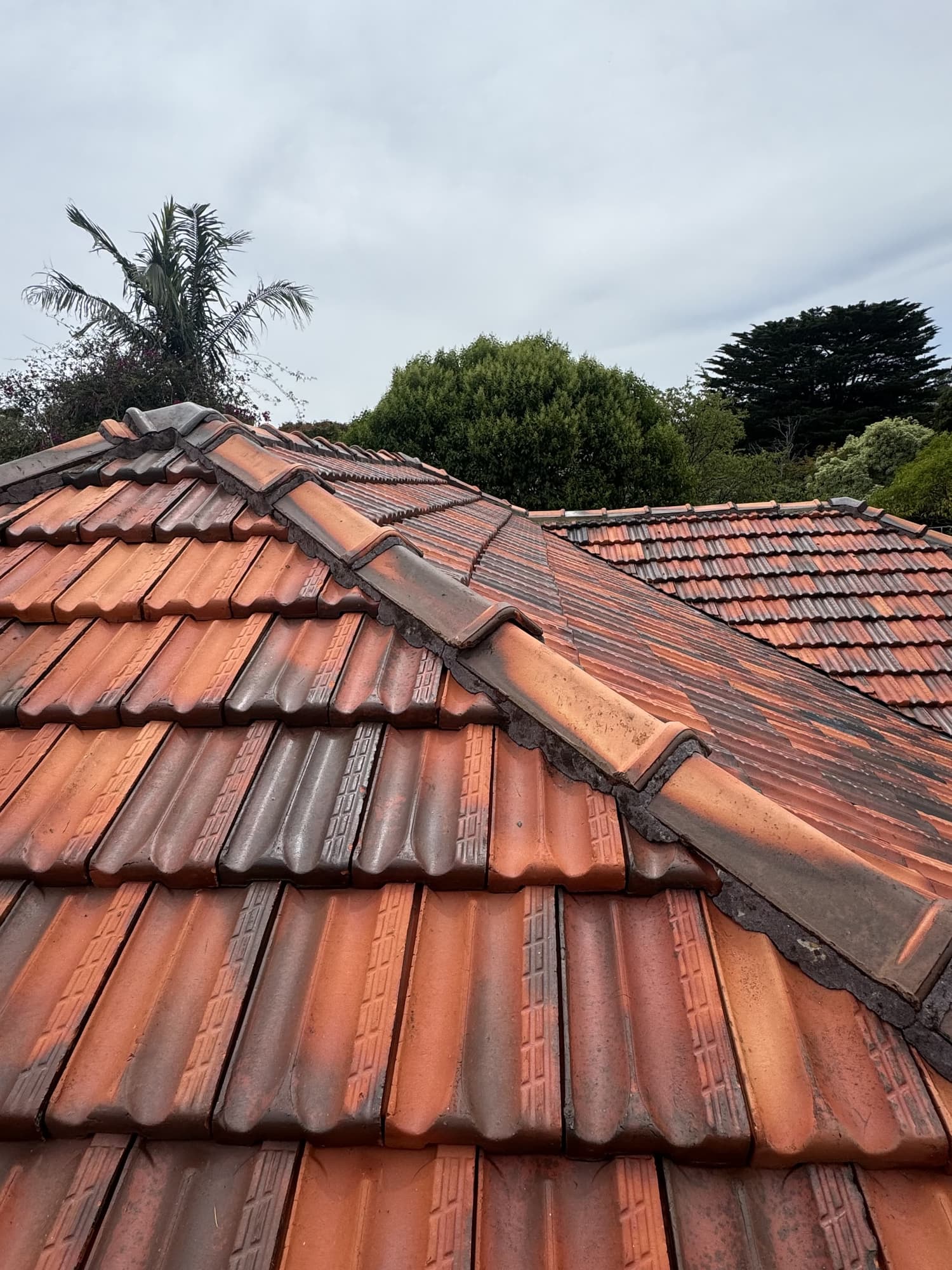 roof repointing near me