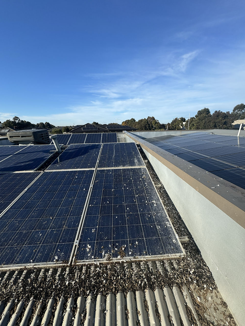 solar panel cleaning melbourne