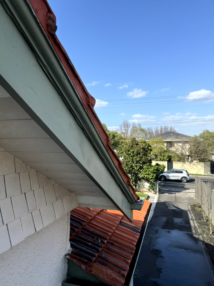 Roof maintenance services