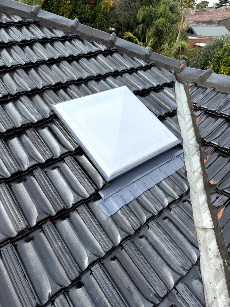 skylight post clean in residential neighbourhood in Victoria