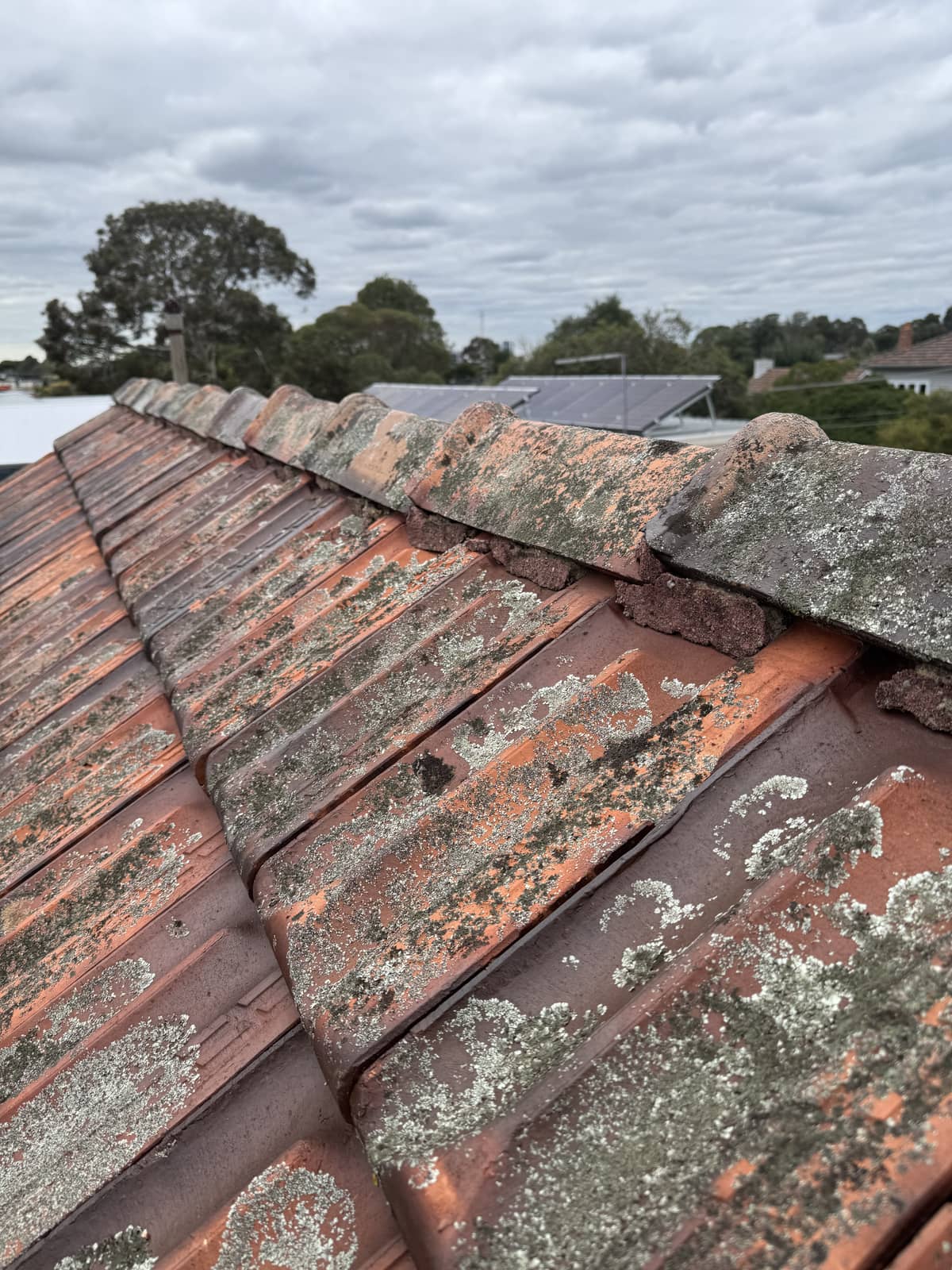 professional terracotta roof restoration melbourne