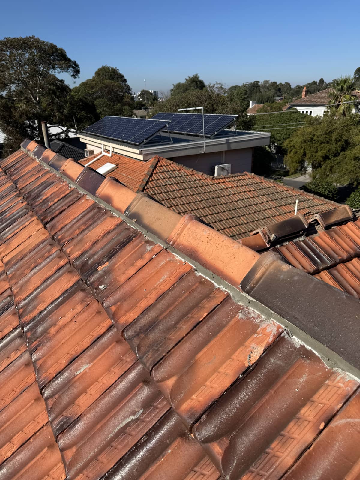 terracotta roof repointing melbourne