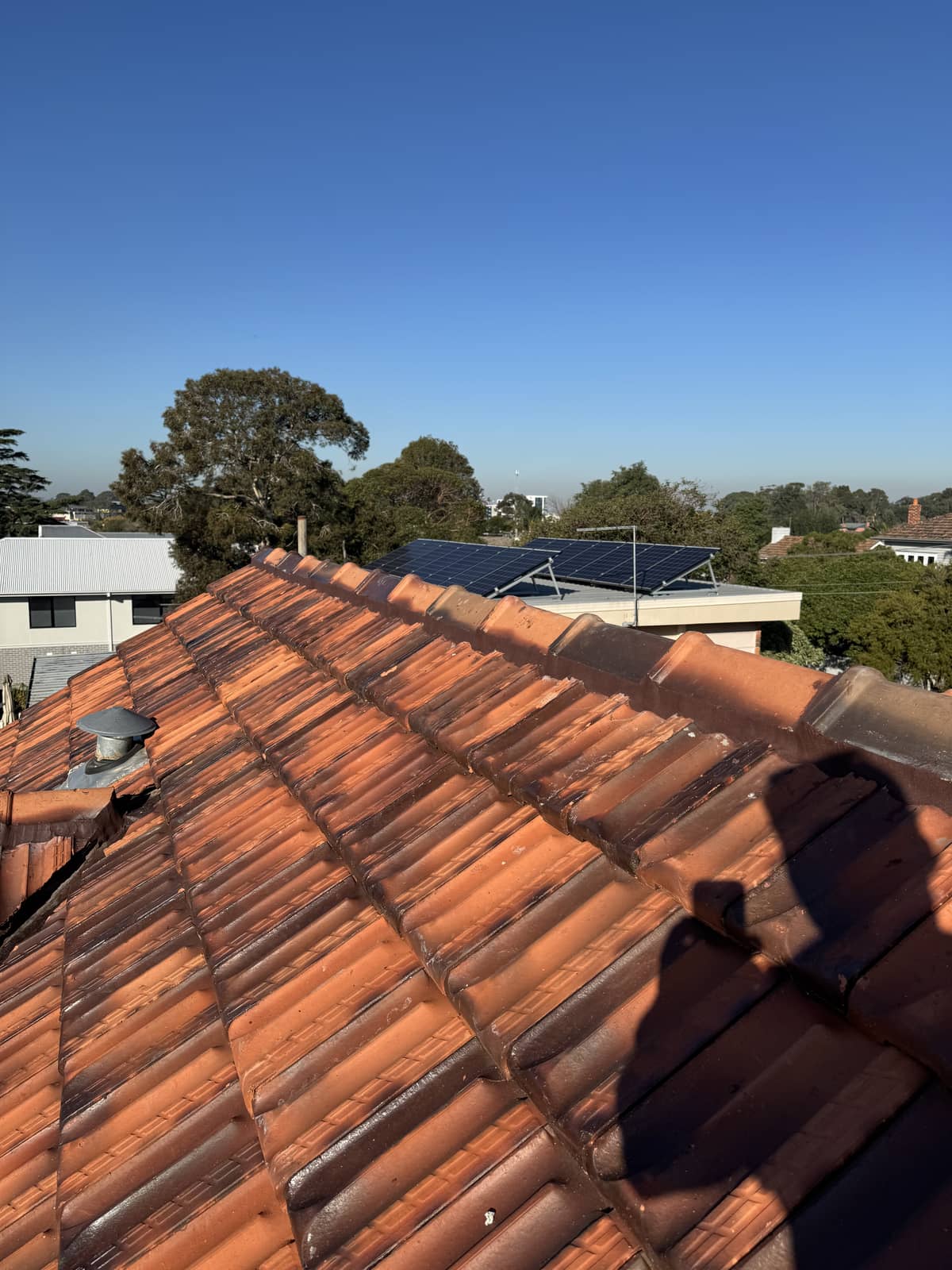 professional terracotta roof restoration bayside melbourne