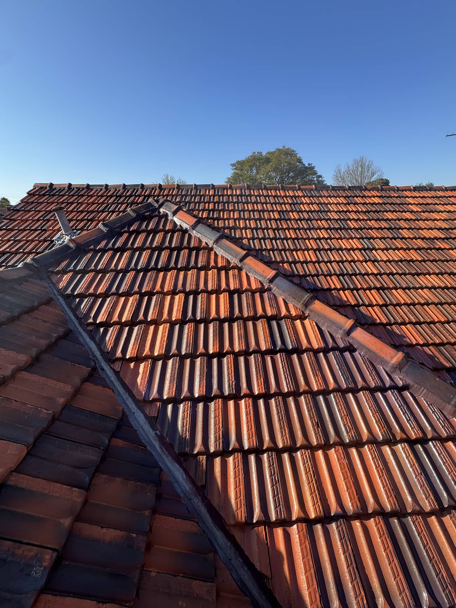 terracotta roof glazing melbourne